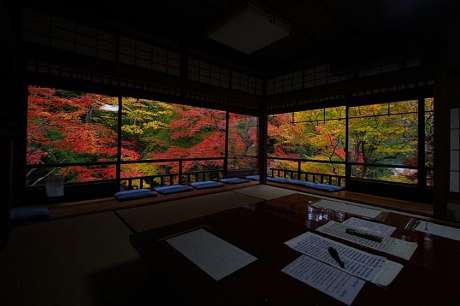 日本京都莲花寺·琉璃光院的红叶。坐于房中...