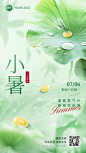 小暑金融保险节气祝福问候实景合成风手机海报