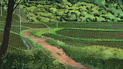 |四百|采集到乡间田野