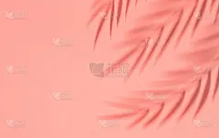 墙上是热带棕榈叶的阴影。夏季热带叶。异国情调的夏威夷丛林树叶，夏日背景。最小的风格。三维渲染