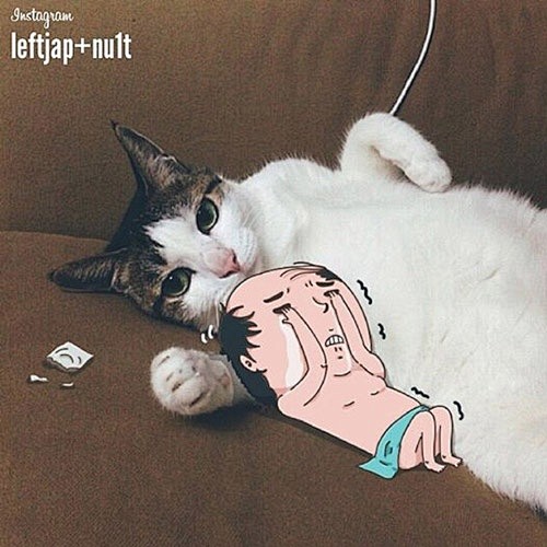 waaaat? | 韩国萌哥 nu1t ...