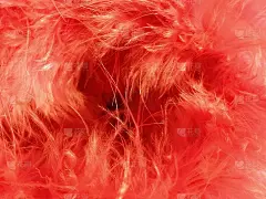 红色人造毛皮或深红色的天然鸟类羽毛特写。光羽毛蟒蛇。精致的纹理。贺卡情人节快乐。女式或女童夹克的领子