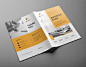 Booklet brochure business objectives Business plan case clean company corporate study