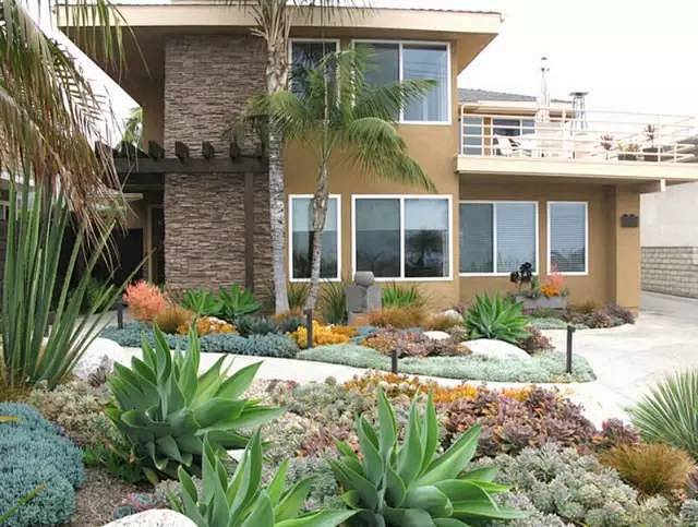 肉肉丨150例花园般的多肉庭院美得不要不要的第七季花艺育花为浪漫而