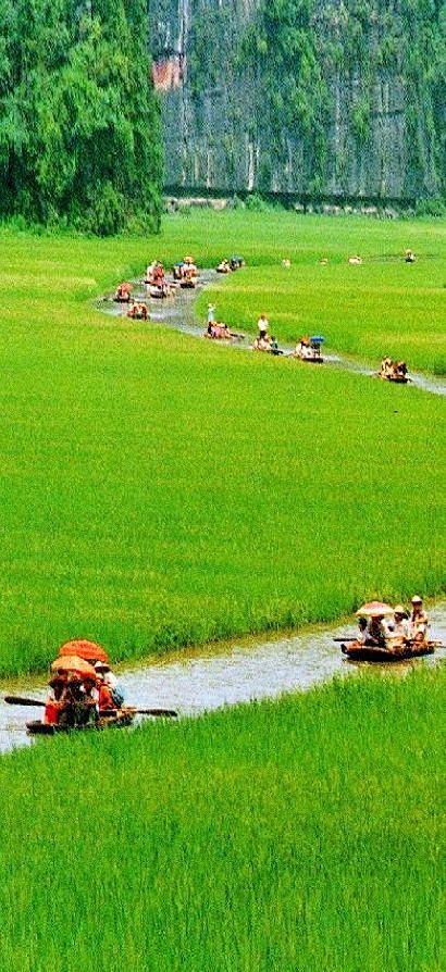 A leisurely row thro...