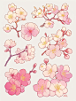 樱花·绘画素材·手账素材