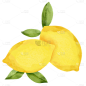 手绘-水彩水果美食元素贴纸-柠檬