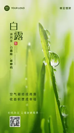 白露金融保险节气祝福实景海报