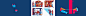 behance7