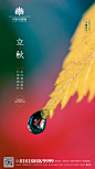 凤凰城-立秋