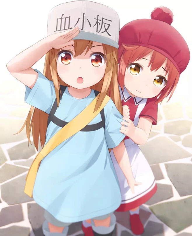 q版血小板