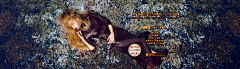 hoo忘记密码采集到banner