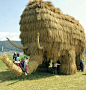 5.7 meter high, 10 meter long mammoth made of rice straw. Seiyo, Ehime Prefecture.