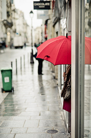 等待雨，是伞一生的宿命。