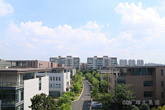 罗迪克采集到风景