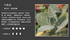 白羊喵仙人采集到多肉的肉