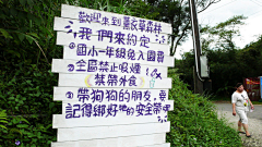 助人为乐先生采集到运营业态