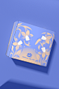 Gift packaging for supplement brand Perla Helsa-古田路9号-品牌创意/版权保护平台
