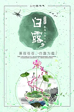 白露节气白露海报