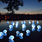 Glowsticks in balloons on water-so cool!: 