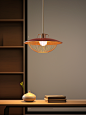 scottmary_a_wood_and_metal_shelf_has_books_and_a_lamp_in_the_s_37f1a77f-358d-48ad-9083-613fec5ab318.png (944×1264)