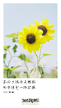 0324每日图片