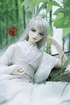 皮蛋君御权采集到FY·转载·AS/BJD
