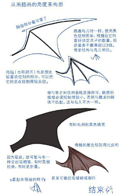 爱犯迷糊的熊熊采集到待归类采集