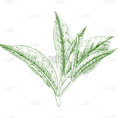 李白很累采集到cy包装