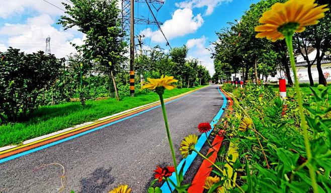 乡村道路绿化_百度图片搜索