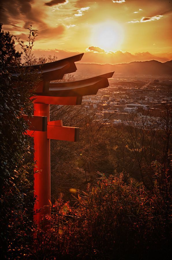 Torii at Fushimi Ina...