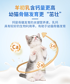 爱佑采集到白金