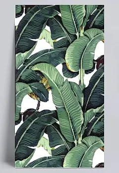 手绘正反面芭蕉叶背景|手绘,芭蕉叶,植物,背景,绿色