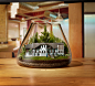 NVA - Terrarium Imagery
