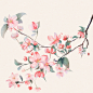 壶里看花