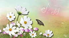 秀丽景色桌面壁纸之春暖花开高清