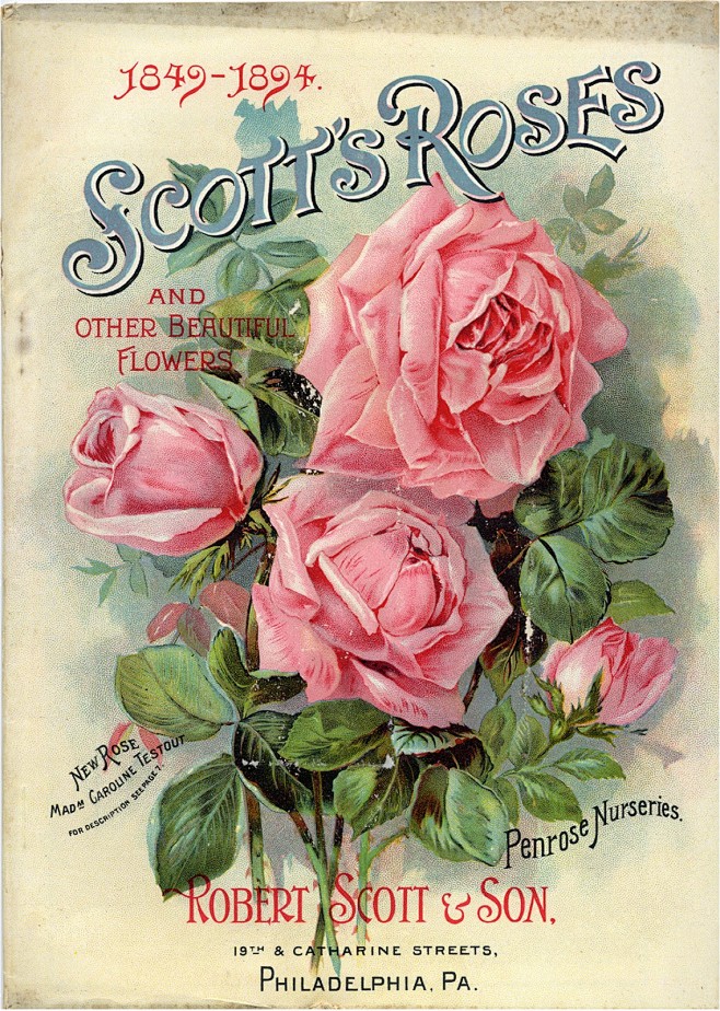 22--1849-1894 Scotts...
