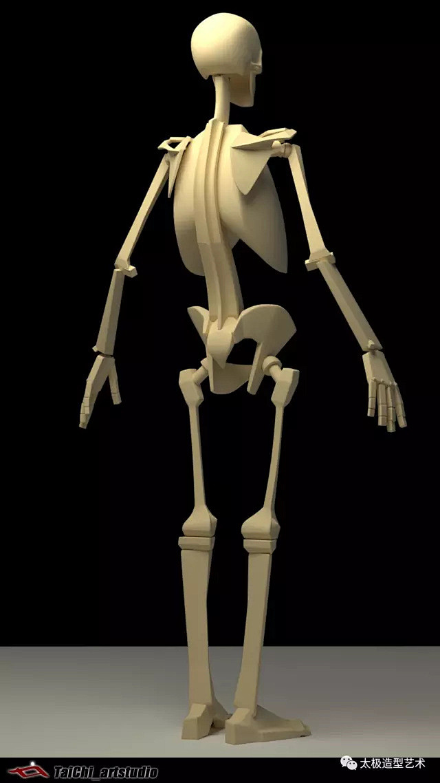 3d成人男性全身骨骼参考图八头身