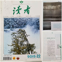 花儿洋朵朵采集到素材