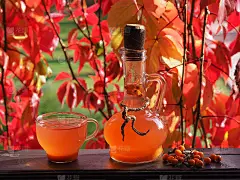 明亮的静物与有用的季节性酊剂和水果沙棘。用玻璃酒瓶和马克杯，在秋天的花园里品尝沙棘植物的黄色浆果