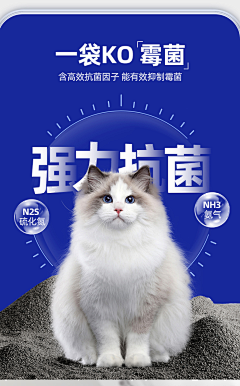 亲爱的喜子采集到宠物