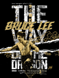 Bruce Lee - Triple : Bruce Lee TripleSet of 3 - 12x16" Designs