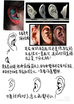 小铜锅粥粥采集到教程