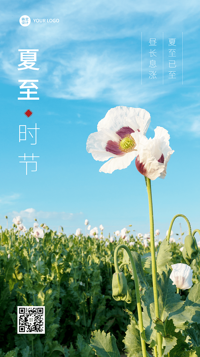 夏至节气祝福排版手机海报