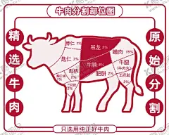 牛肉分割部位图 【酷图网】牛肉分割,分割部位图,精选牛肉,原始分割,纯正好牛肉,吊龙,嫩肉,牛腩,牛腿,牛肉丸,肥胼,五花趾