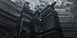 wang-zheng-3