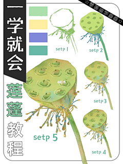Tifar采集到蛋蛋的（教程）