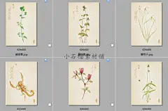 手绘水草本草中草药植物花卉图鉴说明书手册JPG设计图片jpg76-淘宝网