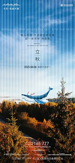 海报 二十四节气 立秋 质感  鲸鱼 创意  