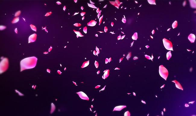 jquery实现满屏玫瑰花瓣飘落动画网页特效jquery特效淘宝代码js特效